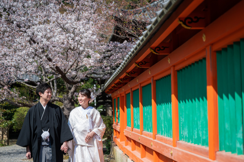 美しいコントラスト