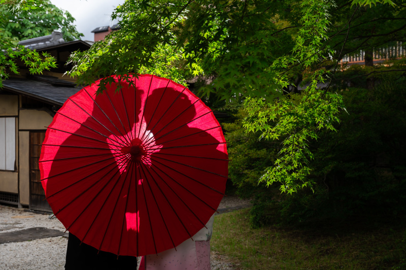 綺麗なシルエット