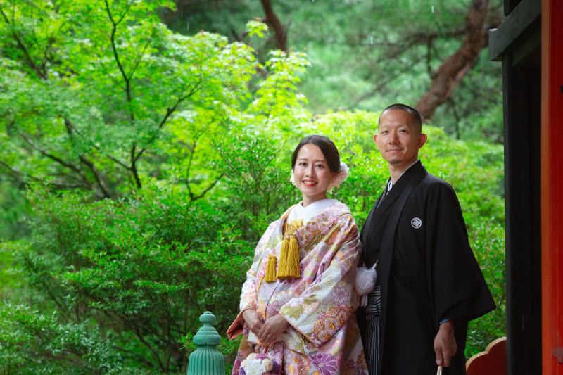 夏らしい青紅葉