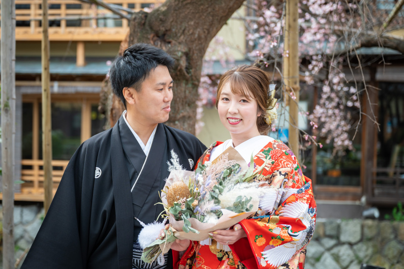 咲き始めのしだれ桜