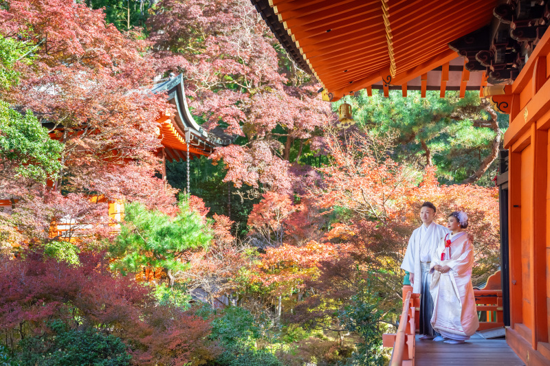 一番の撮影ポイント