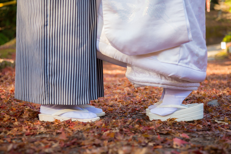 敷紅葉が美しい