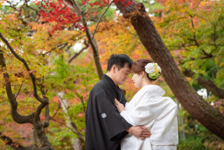 カラフルな季節