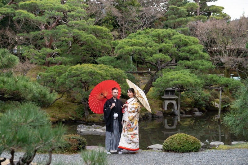 深い緑の日本庭園