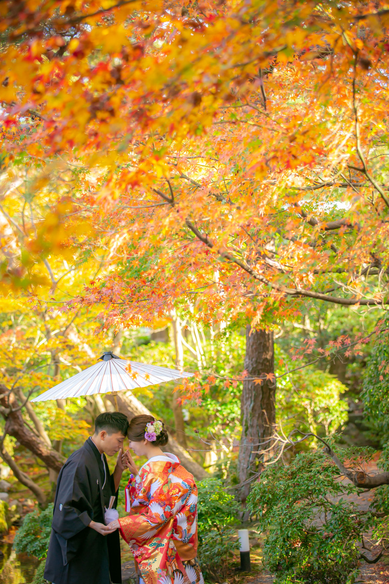 日本庭園の魅力
