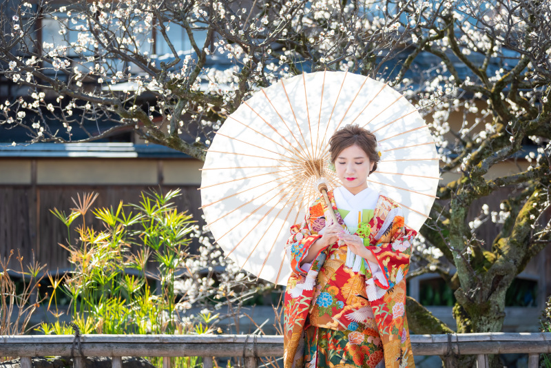 新婦様ソロカット