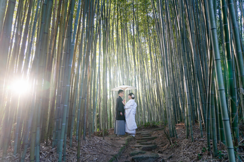 洛西に位置する隠れたパワースポット竹林公園