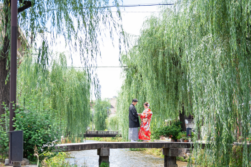 東山白川の緑☆