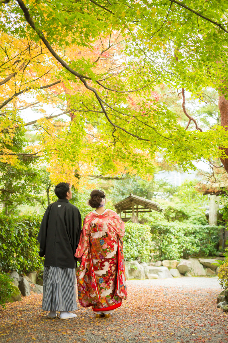 落ち葉の絨毯。