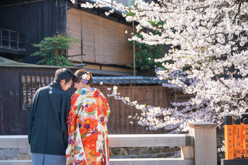 白川にかかる桜