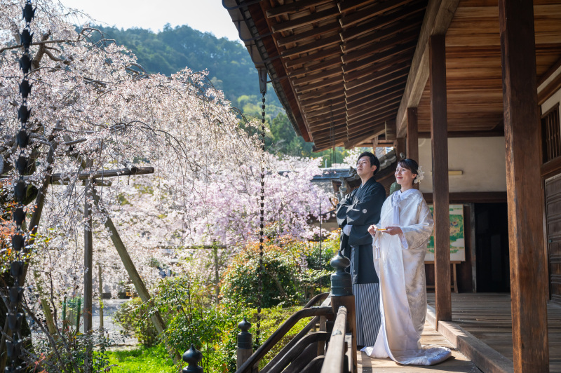 枝垂れをバックに
