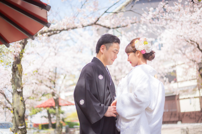 桜にかこまれて（白無垢）