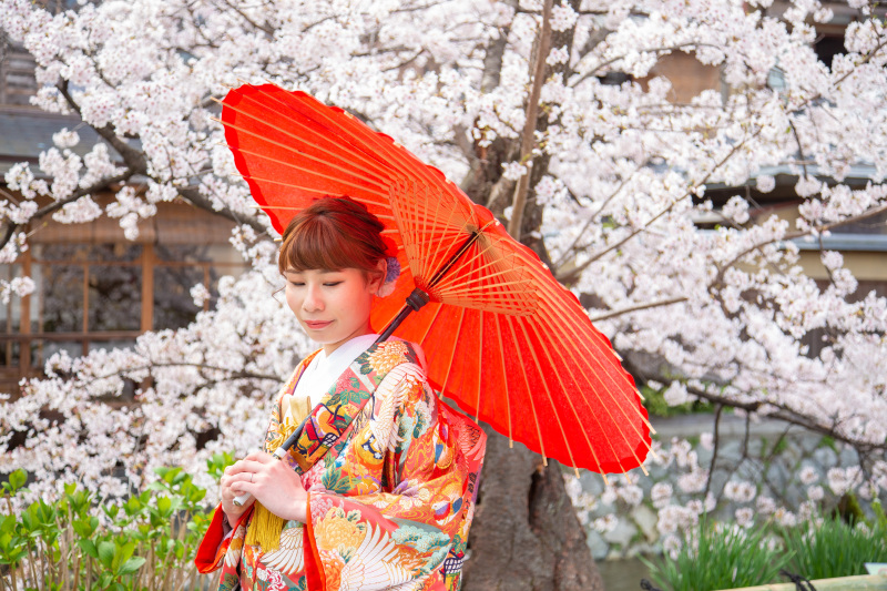 淡いピンクに映える赤傘の綺麗な新婦様