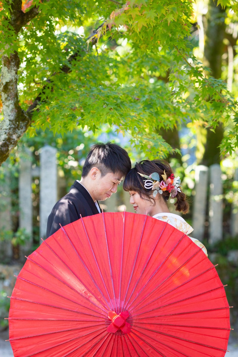 青紅葉も美しく