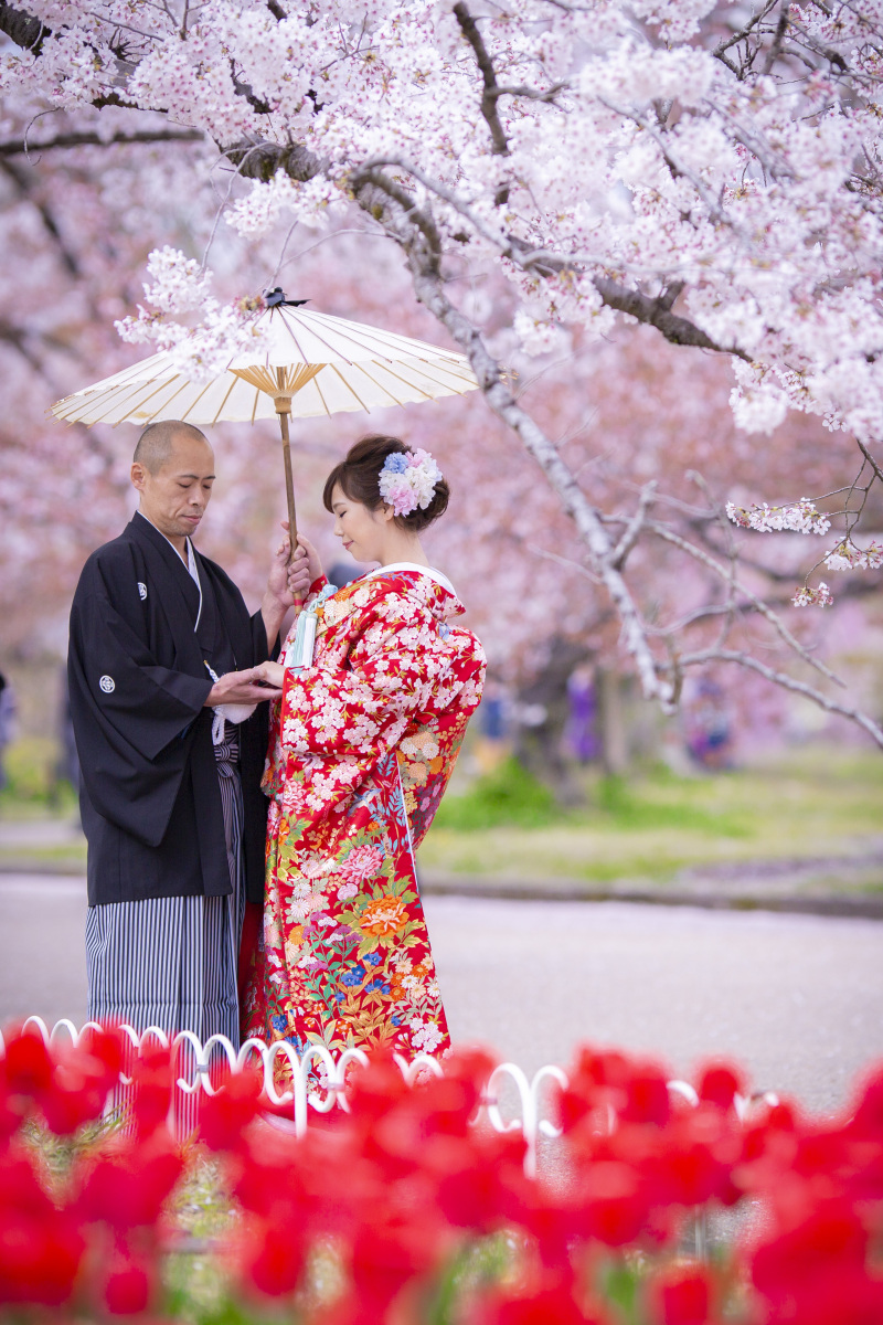 桜とチューリップ