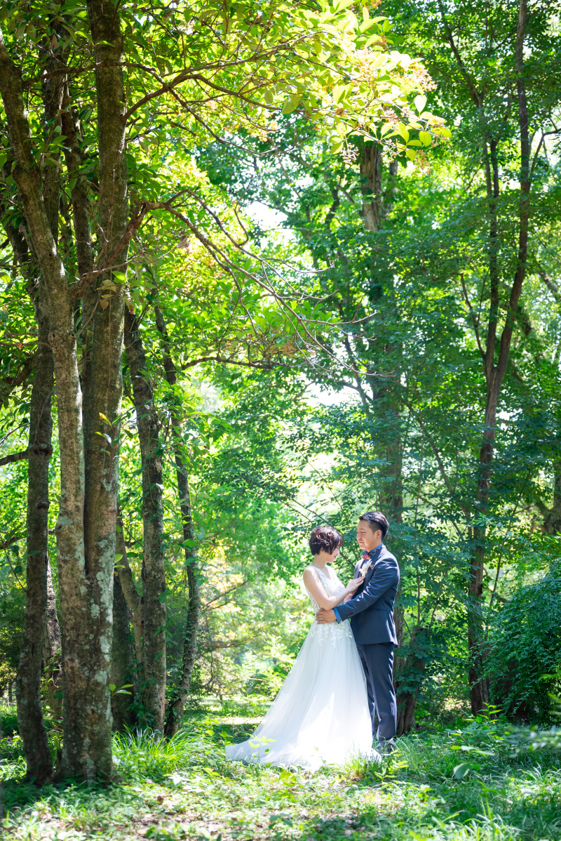 まるで森の中にいるよう♪、、