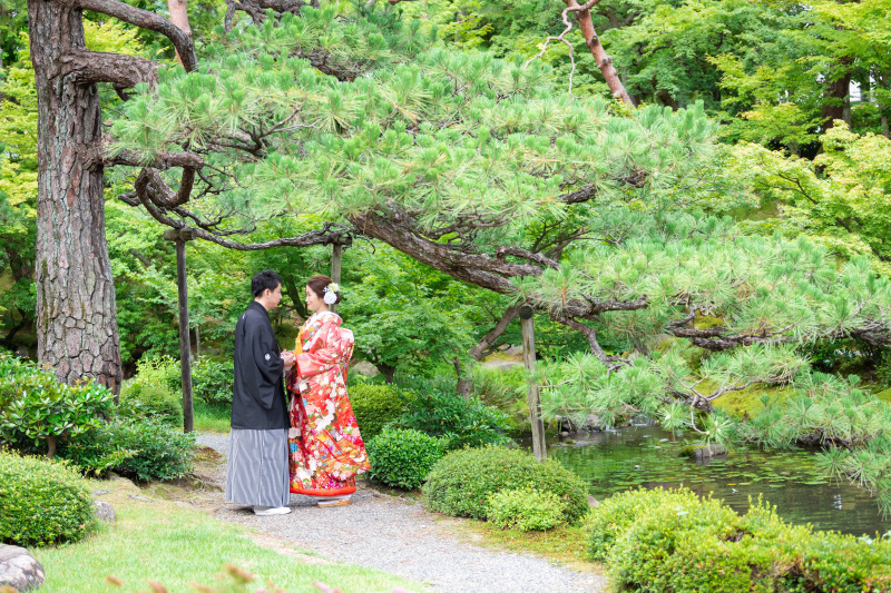 木が低いな～♡