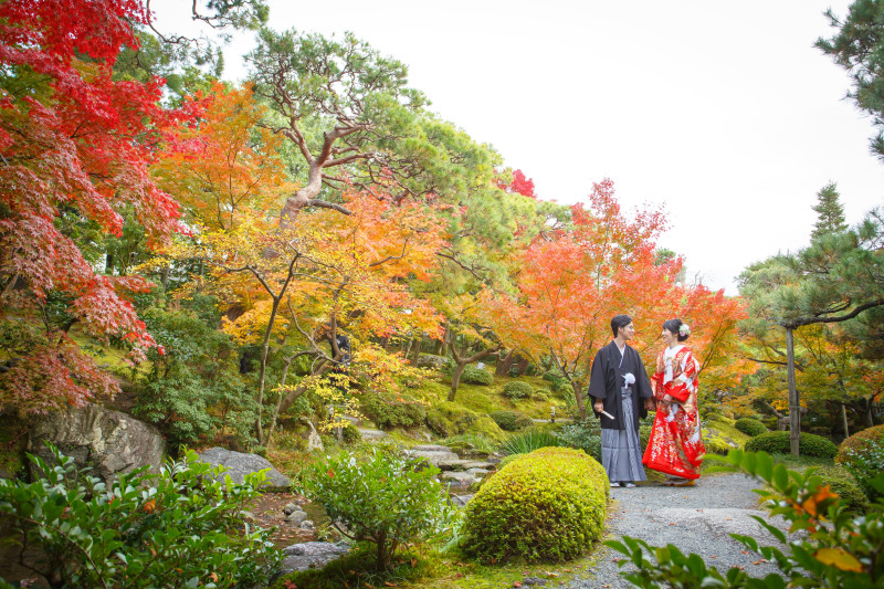 回遊式庭園が素敵！