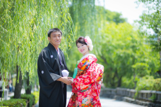 柳の緑の綺麗な季節