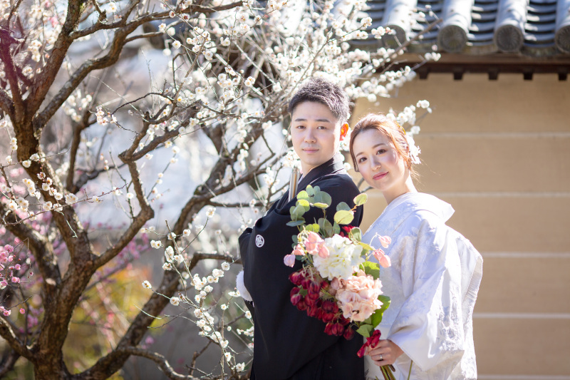 梅咲き乱れる梅宮大社