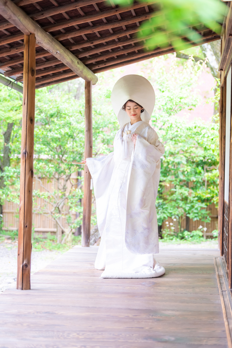 綺麗な立ち姿です。