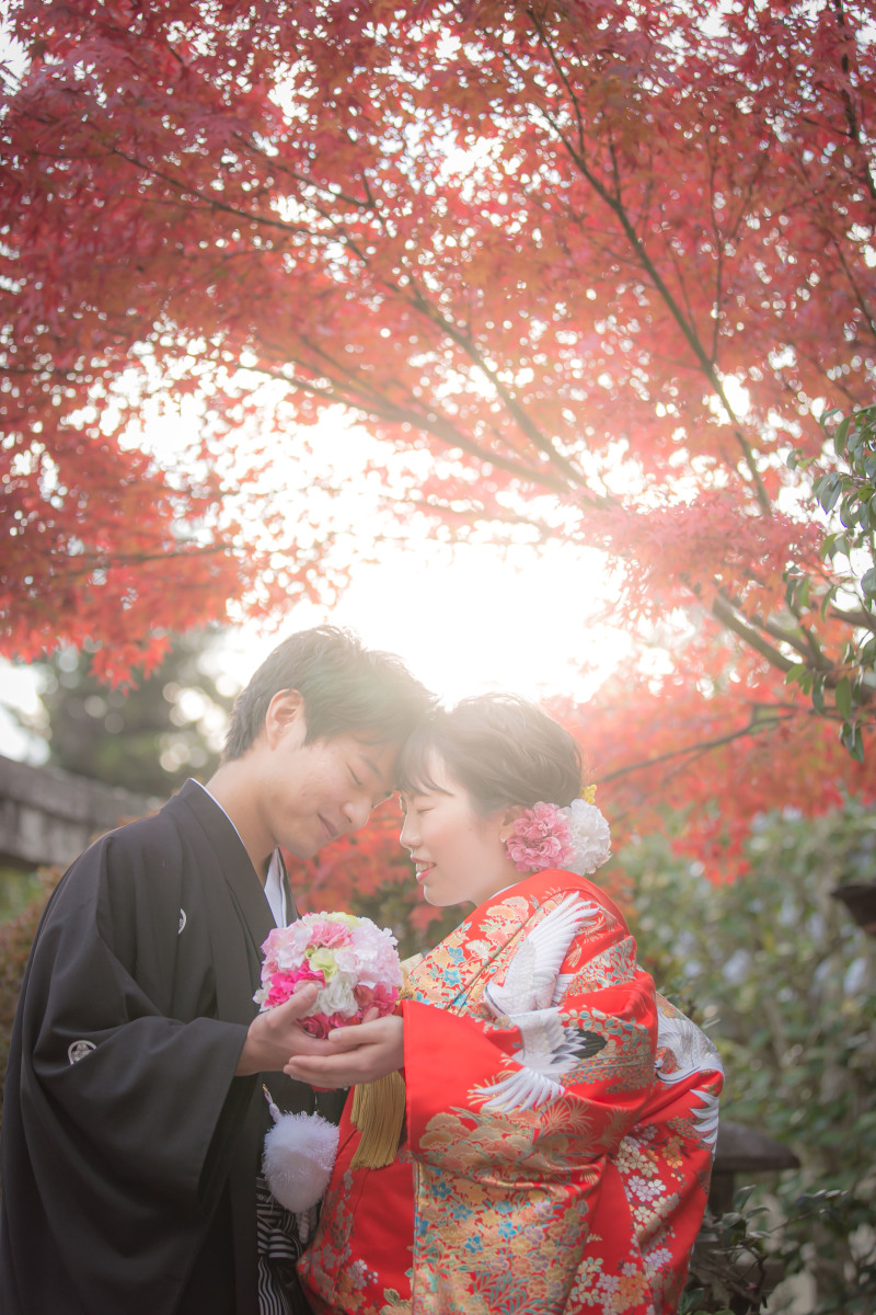 おでこごっつん