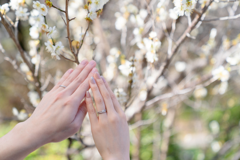 梅をバックに印象的な指輪のアップ