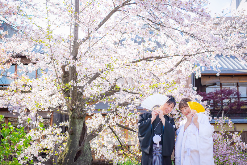 桜がいっぱい(⋈◍>◡<◍)。✧♡