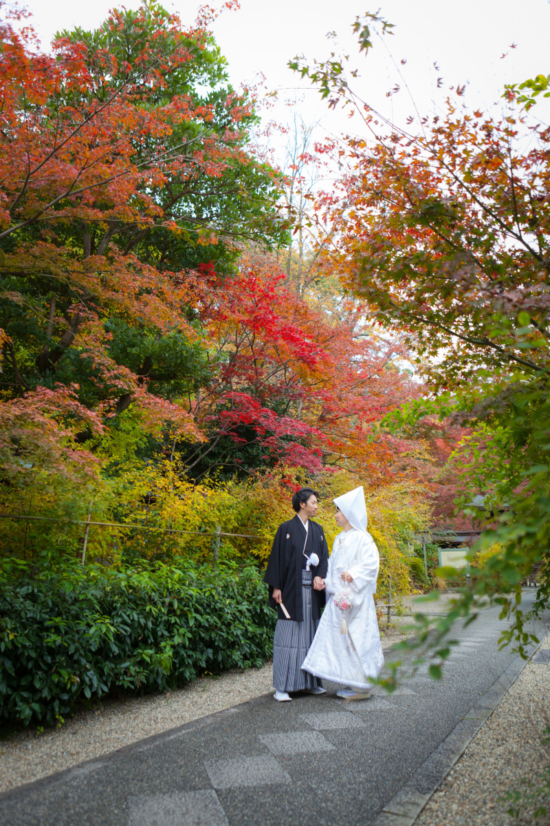 紅葉に囲まれた神社境内で