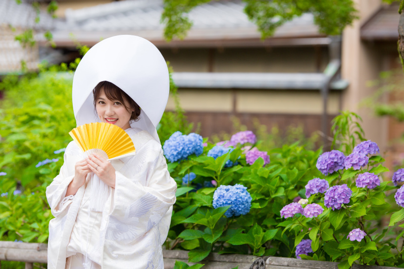 紫陽花と一緒に