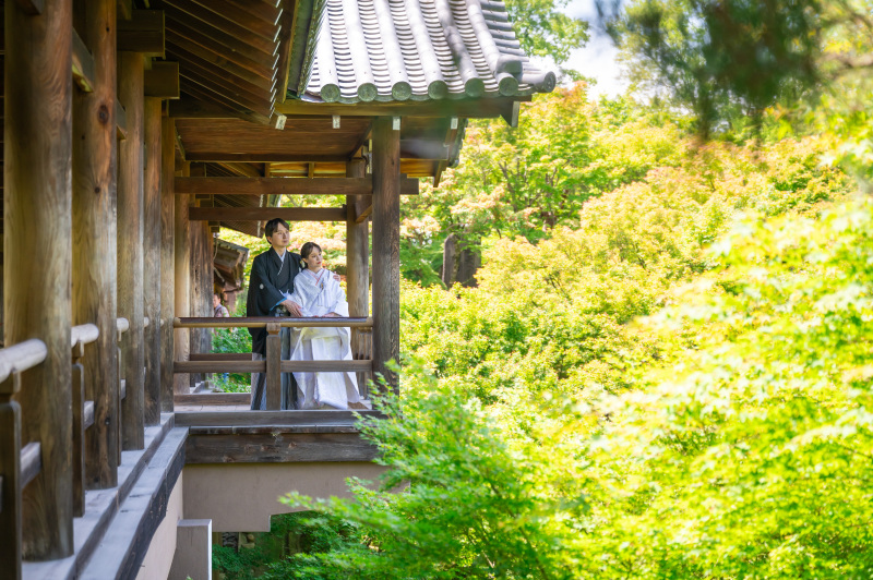 遠くから狙って