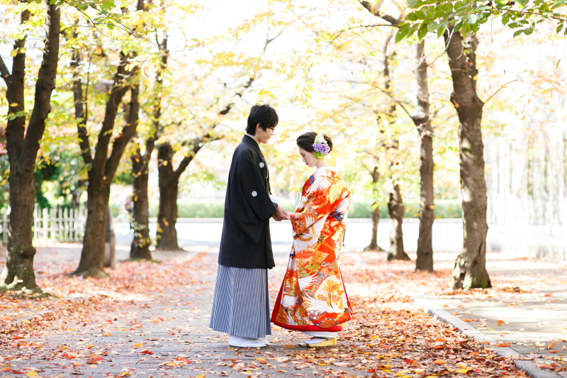 落ち葉いっぱい