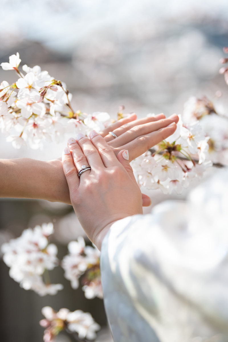 桜と指輪