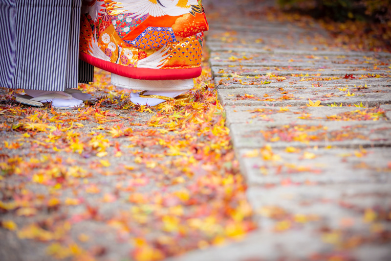 落ち葉を敷いて。