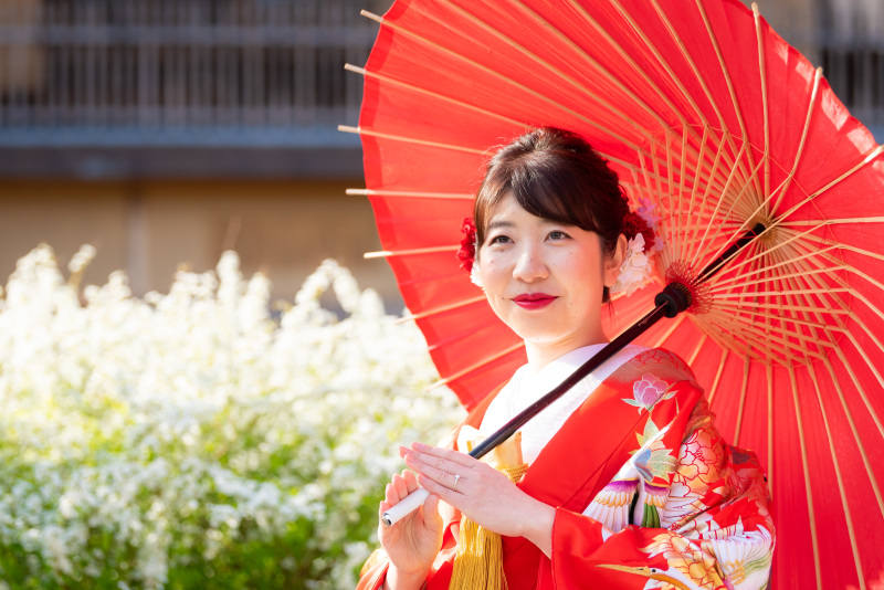 春に囲まれて。