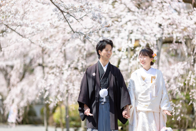 枝垂れ桜の美しい毘沙門堂