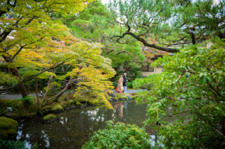 まだまだ緑いっぱい