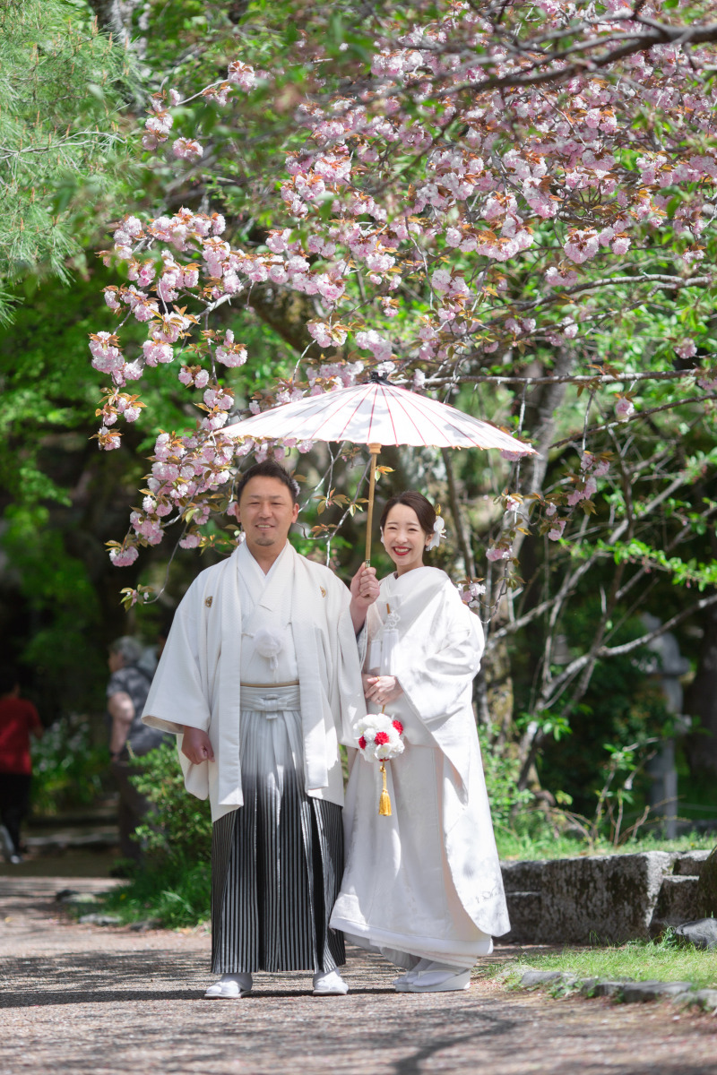 ピンク八重桜と