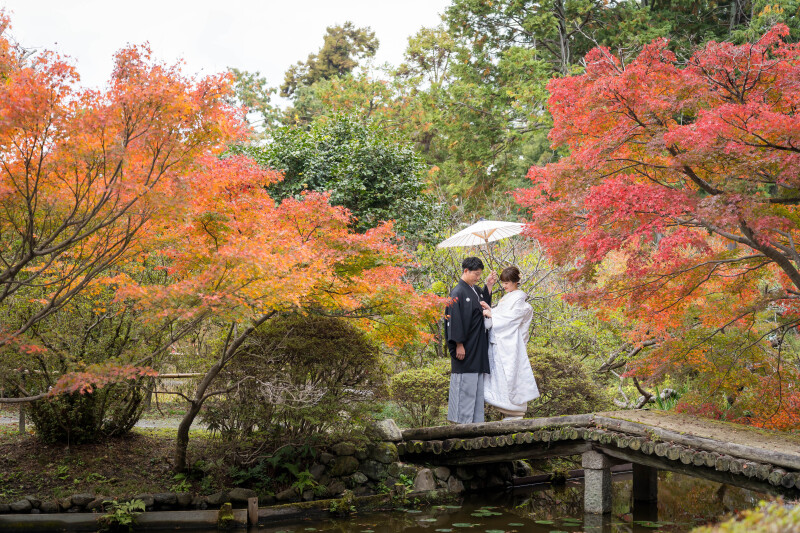 紅葉がいっぱい!!