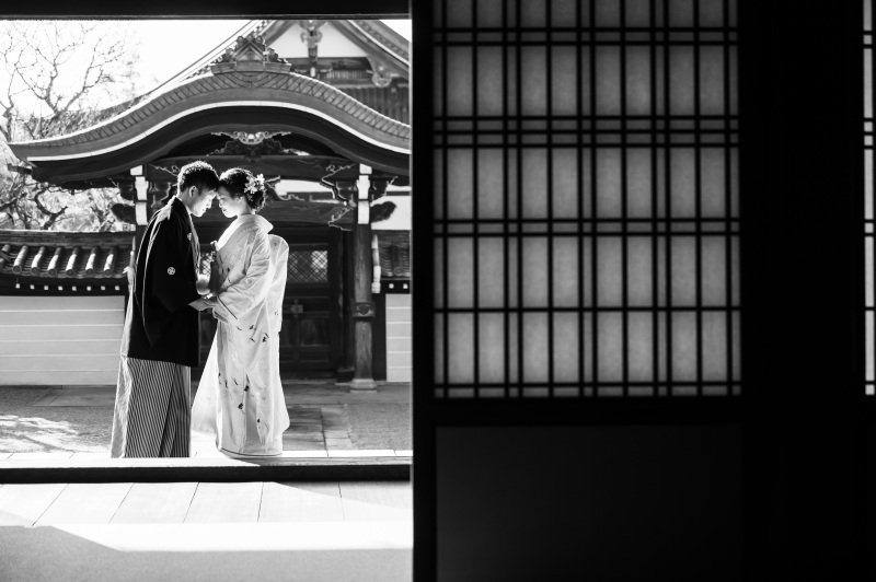 影絵のような美しい1枚。カメラマンの遊び心。