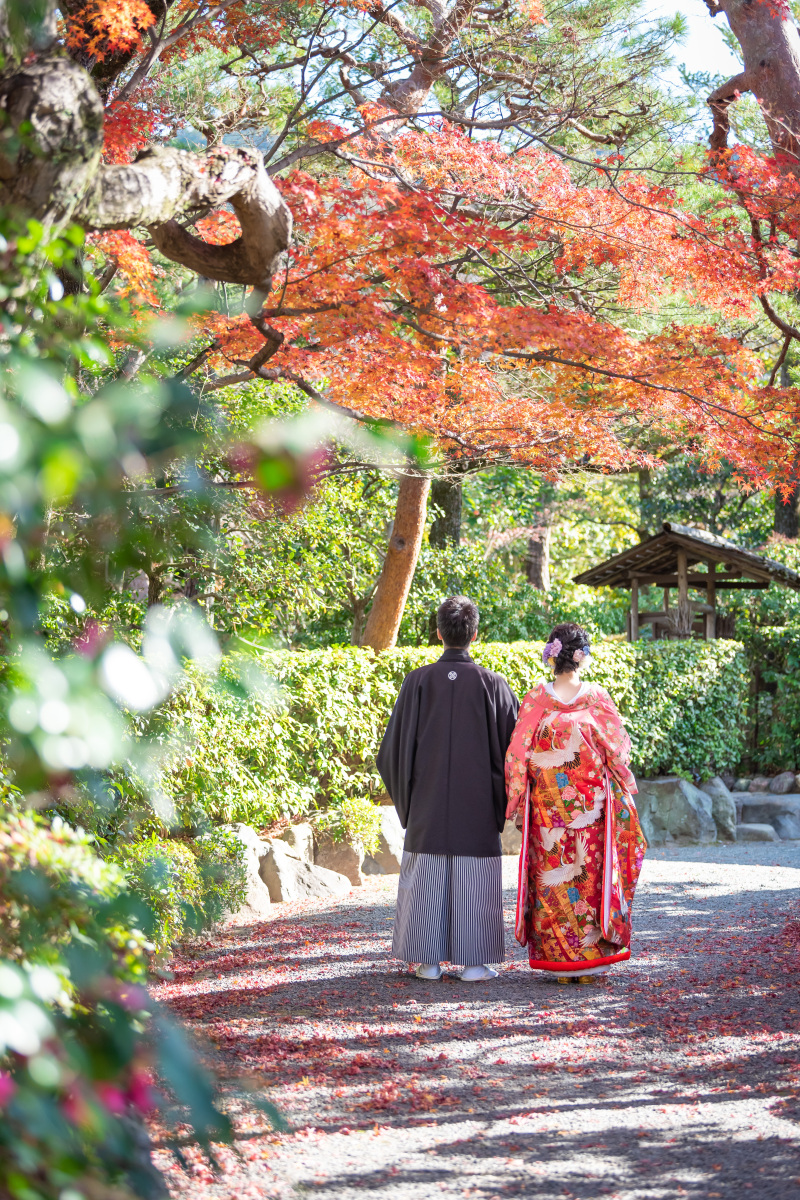 日本庭園の12月