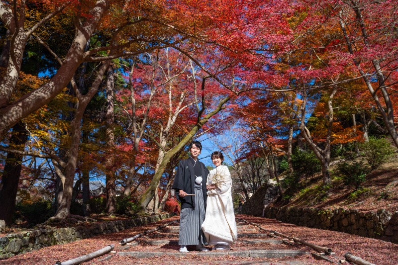 毘沙門堂での紅葉と白無垢のコントラスト