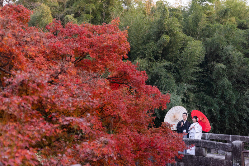 真っ赤な紅葉を入れて秋の写真が完成
