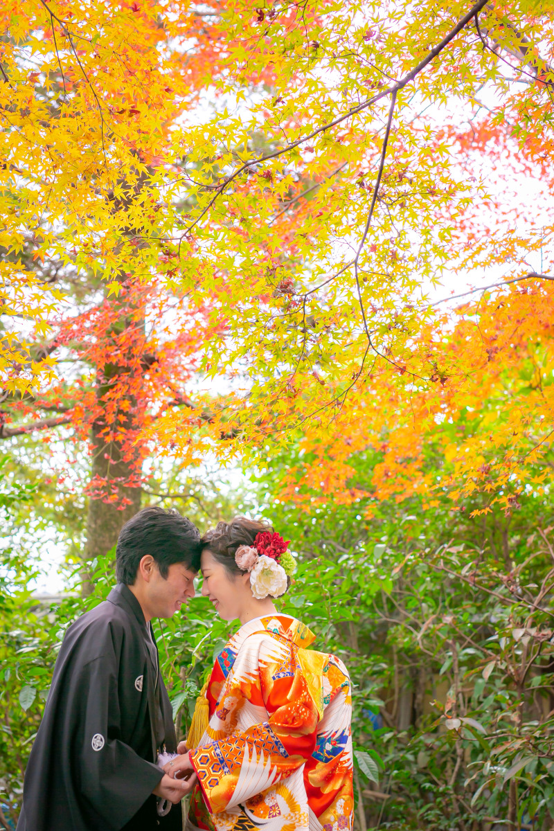 綺麗な色彩の中で。