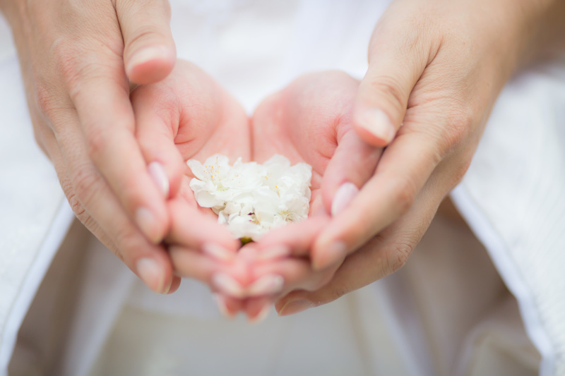 花びらを包んで