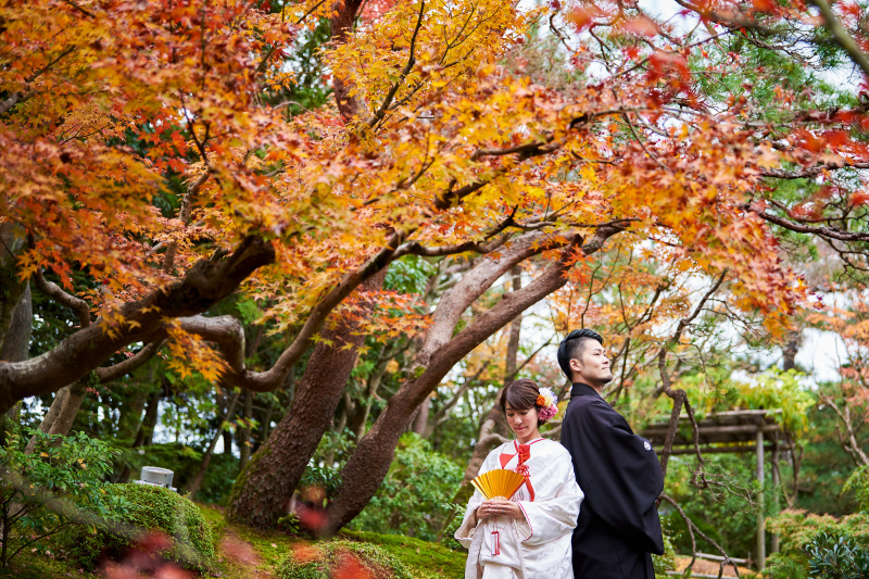 背中合わせで。