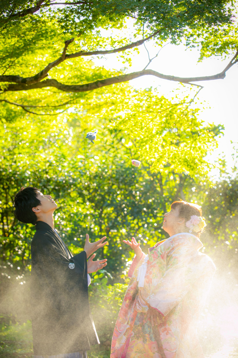 木漏れ日を印象的に