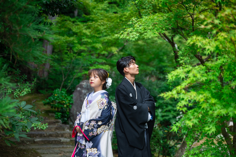 新作の色掛下と