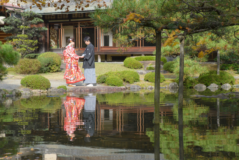 池のむこうから。
