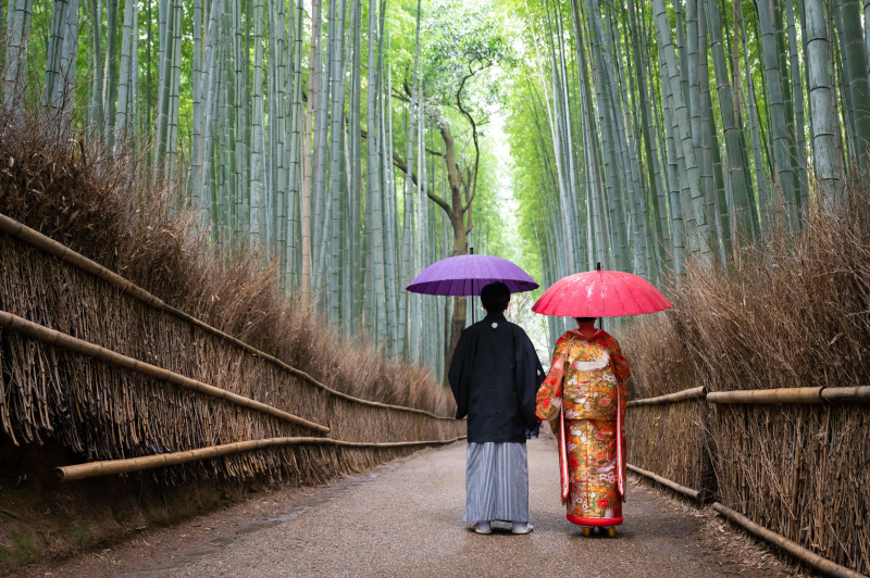 青竹から静かに降る雨